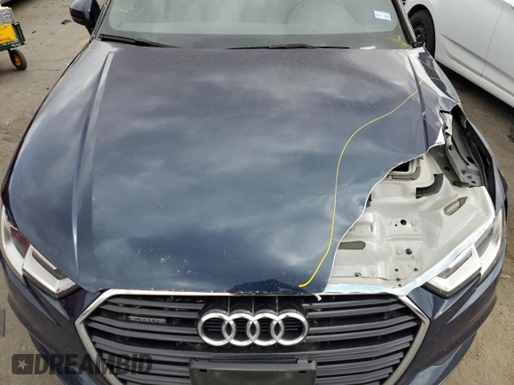 2019 Audi A3 Sedan Premium with VIN WAUBEGFF3KA113773, listed as a Copart auction lot 48441914 with 57,376 mi miles. Bid and sale history available at carsss.com. Image 11.