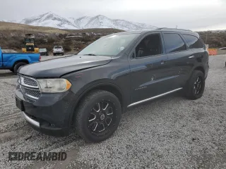 2011 Dodge Durango Citadel with VIN 1D4SE5GTXBC695969, listed as a Copart auction lot 49262315 with 146,252 mi miles and Salvage Title. Bid and sale history available at carsss.com. Image 1.