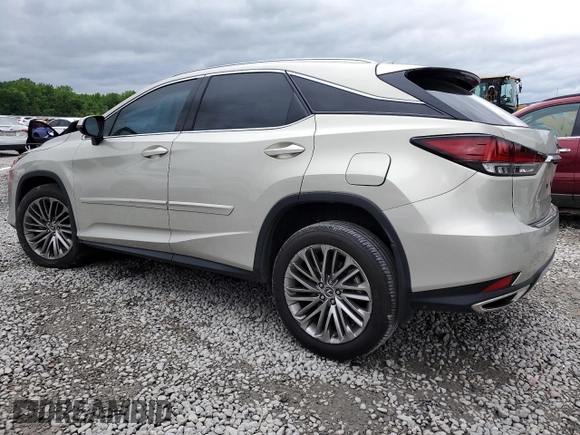 2021 Lexus RX 350 with VIN 2T2JZMAA4MC203103, listed as a Copart auction lot 54626645 with 8,081 mi miles and Salvage Title. Bid and sale history available at DreamBid. Image 2.
