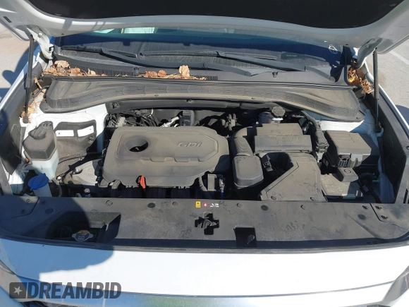 2019 Hyundai Santa Fe SE with VIN 5NMS2CAD4KH118545, listed as a IAAI auction lot 41686797 with 54,108 mi miles and . Bid and sale history available at DreamBid. Image 10.