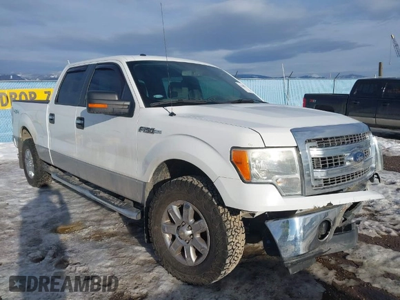 2013 Ford F-150 XL with VIN 1FTFW1EF7DKD91041, listed as a IAAI auction lot 41648747 with 170,052 mi miles. Bid and sale history available at carsss.com. Image 1.