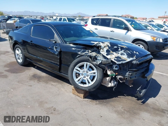 2013 Ford Mustang V6 with VIN 1ZVBP8AM0D5241888, listed as a IAAI auction lot 42110605 with 197,477 mi miles. Bid and sale history available at carsss.com. Image 1.