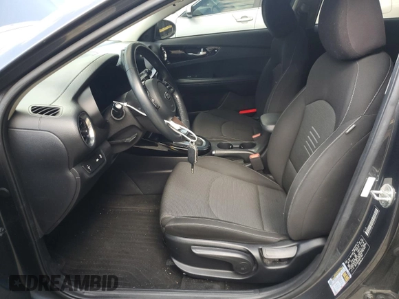 2019 Kia Forte S z VIN 3KPF34AD5KE017087, wystawiony jako Copart lot #54831355 z przebiegiem 106 795 mil mil oraz Szkoda całkowita • Salvage title. Historia ofert i sprzedaży dostępna na DreamBid. Obrazek 7.
