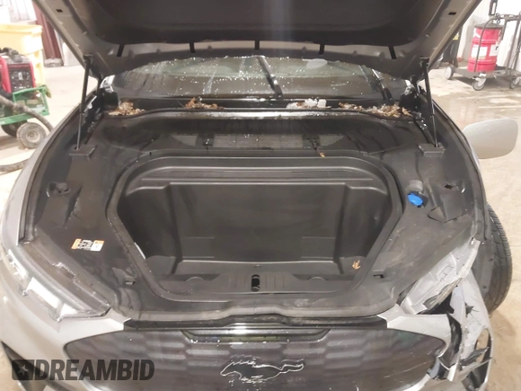 2021 Ford Mustang Mach-E GT with VIN 3FMTK4SE4MMD99856, listed as a IAAI auction lot 41609127 with 29,829 mi miles and . Bid and sale history available at DreamBid. Image 10.