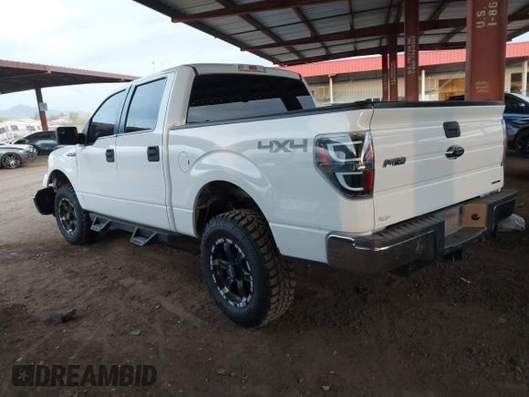 2013 Ford F-150 XL with VIN 1FTFW1EF5DFB99853, listed as a IAAI auction lot 42024669 with 113,013 mi miles. Bid and sale history available at carsss.com. Image 3.