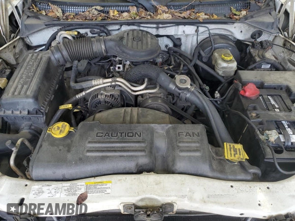 2003 Dodge Dakota with VIN 1D7FL16X73S307529, listed as a Copart auction lot 73568784 with 314,924 mi miles and Salvage Title. Bid and sale history available at carsss.com. Image 12.