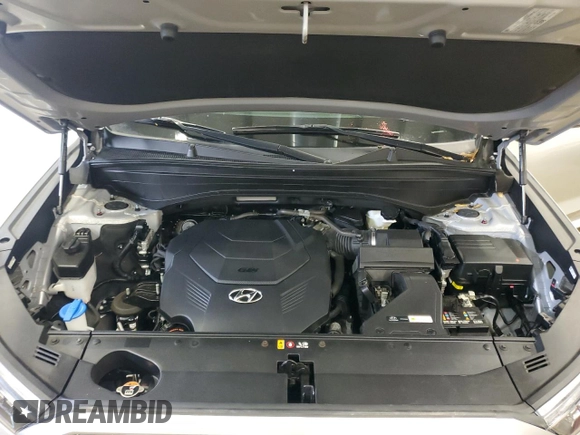 2022 Hyundai Palisade SEL z VIN KM8R24HE6NU404781, wystawiony jako Copart lot #57979005 z przebiegiem 88 069 mil mil oraz Czysty tytuł • Clean title. Historia ofert i sprzedaży dostępna na DreamBid. Obrazek 12.