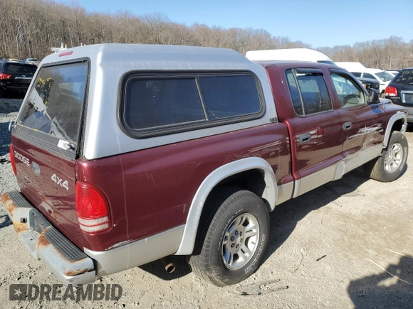 2002 Dodge Dakota SLT with VIN 1B7HG48N82S536711, listed as a Copart auction lot 48142485 with 0 mi miles and Salvage Title. Bid and sale history available at carsss.com. Image 3.
