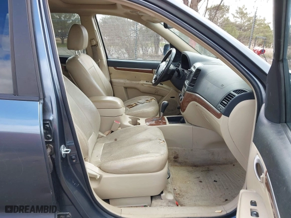 2009 Hyundai Santa Fe SE with VIN 5NMSH13E89H322655, listed as a IAAI auction lot 42029588 with 160,189 mi miles. Bid and sale history available at carsss.com. Image 5.