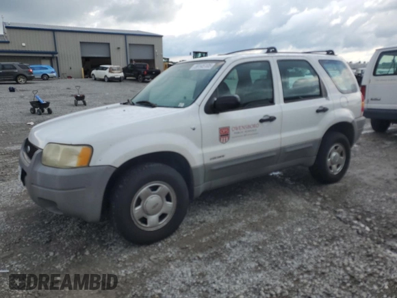 2001 Ford Escape XLS with VIN 1FMYU02161KB01283, listed as a Copart auction lot 59145105 with 86,195 mi miles and Salvage title. Bid and sale history available at DreamBid. Image 1.