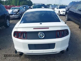 2013 Ford Mustang V6 with VIN 1ZVBP8AMXD5281234, listed as a IAAI auction lot 42260113 with 124,188 mi miles and . Bid and sale history available at DreamBid. Image 16.