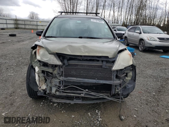 2008 Honda CR-V EX with VIN JHLRE48548C012942, listed as a Copart auction lot 51187565 with 264,851 mi miles and Salvage Title. Bid and sale history available at DreamBid. Image 5.