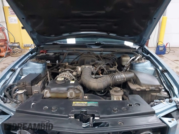2007 Ford Mustang Deluxe with VIN 1ZVFT80N175343082, listed as a IAAI auction lot 41882099 with 16,629 mi miles and . Bid and sale history available at DreamBid. Image 10.
