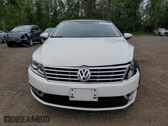 2013 Volkswagen CC Lux with VIN WVWRN7AN0DE507548, listed as a Copart auction lot 59938534 with 201,666 mi miles and Salvage Title. Bid and sale history available at carsss.com. Image 5.
