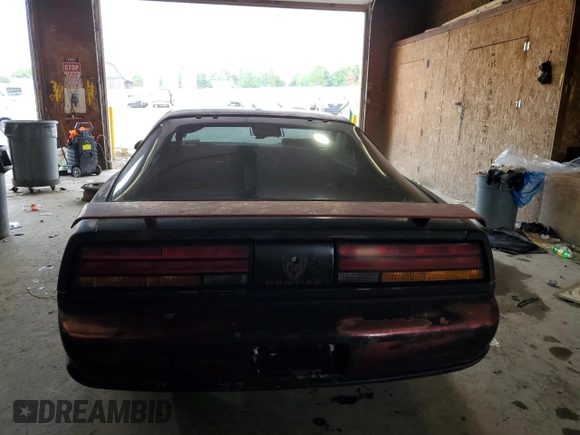 1991 Pontiac Firebird with VIN 1G2FS23E4ML233315, listed as a Copart auction lot 64605615 with Not provided miles and Clean title. Bid and sale history available at DreamBid. Image 6.
