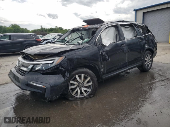 2019 Honda Pilot EX-L with VIN 5FNYF6H57KB062648, listed as a Copart auction lot 57566015 with Not provided miles and Salvage title. Bid and sale history available at DreamBid. Image 1.