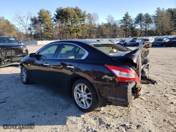 2010 Nissan Maxima 3.5 SV with VIN 1N4AA5AP6AC825203, listed as a Copart auction lot 48490445 with 195,801 mi miles and Clean Title. Bid and sale history available at carsss.com. Image 2.
