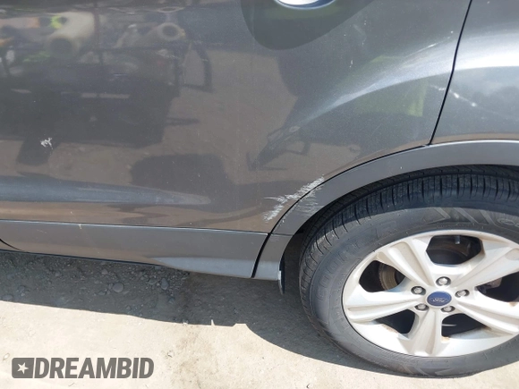 2014 Ford Escape SE with VIN 1FMCU0G98EUB23109, listed as a IAAI auction lot 42186287 with 134,793 mi miles. Bid and sale history available at carsss.com. Image 6.