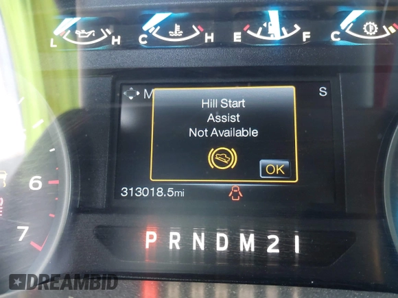 2015 Ford F-150 XLT with VIN 1FTEW1EP0FFA16253, listed as a IAAI auction lot 41852006 with 313,018 mi miles. Bid and sale history available at carsss.com. Image 15.