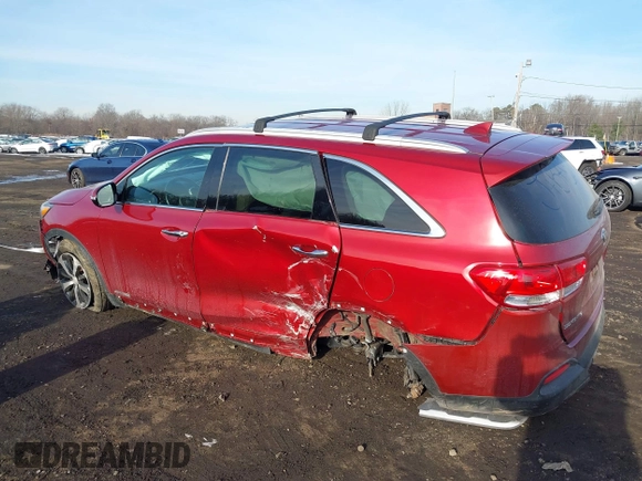 2017 Kia Sorento EX with VIN 5XYPHDA51HG313606, listed as a IAAI auction lot 41203028 with 46 mi miles and . Bid and sale history available at DreamBid. Image 6.