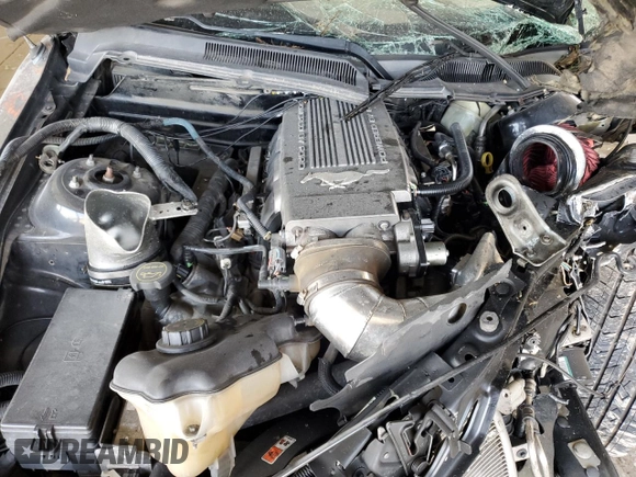 2008 Ford Mustang GT Deluxe with VIN 1ZVHT82H685167888, listed as a Copart auction lot 61754635 with Not provided miles and Non repairable. Bid and sale history available at DreamBid. Image 11.