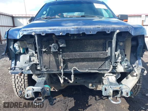 2009 Ford F-150 XL with VIN 1FTPW14V09FB15538, listed as a IAAI auction lot 41987290 with 158,147 mi miles. Bid and sale history available at carsss.com. Image 6.