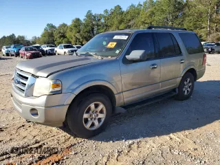 2009 Ford Expedition SSV with VIN 1FMFU16539LA10231, listed as a Copart auction lot 46706415 with Not Provided miles and Clean Title. Bid and sale history available at DreamBid. Image 1.