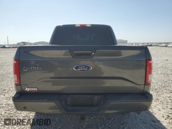 2016 Ford F-150 XL with VIN 1FTEW1CG4GKE01245, listed as a Copart auction lot 48244945 with 116,329 mi miles and Salvage Title. Bid and sale history available at DreamBid. Image 6.