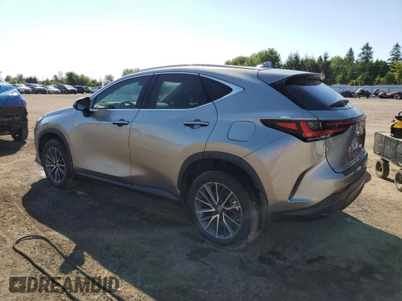 2024 Lexus NX with VIN 2T2ADCEZ4RC004990, listed as a Copart auction lot 65790834 with 7,141 mi miles and Non Repairable. Bid and sale history available at carsss.com. Image 2.