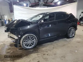 2024 Lexus NX 350 Luxury z VIN 2T2HGCEZ8RC042924, wystawiony jako Copart lot #46377495 z przebiegiem 14 228 mil mil oraz Szkoda całkowita • Salvage title. Historia ofert i sprzedaży dostępna na DreamBid. Obrazek 1.