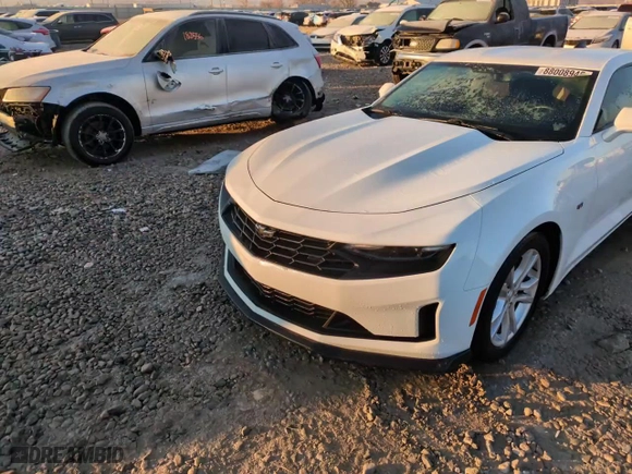 2019 Chevrolet Camaro 1LT with VIN 1G1FA1RX3K0127107, listed as a Copart auction lot 88008945 with 46,173 mi miles and Salvage Title. Bid and sale history available at carsss.com. Image 13.