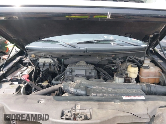 2005 Ford F-150 XLT with VIN 1FTPX14525NA31508, listed as a IAAI auction lot 42407046 with 176,642 mi miles and . Bid and sale history available at DreamBid. Image 10.