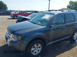 2009 Ford Escape Limited with VIN 1FMCU04739KB48262, listed as a IAAI auction lot 42564760 with 175,058 mi miles and . Bid and sale history available at DreamBid. Image 6.