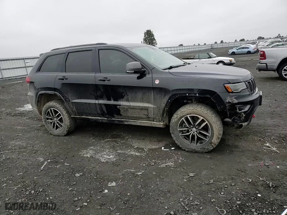 2018 Jeep Grand Cherokee Trailhawk with VIN 1C4RJFLT0JC202513, listed as a Copart auction lot 83184124 with NaN miles and Salvage Title. Bid and sale history available at carsss.com. Image 12.