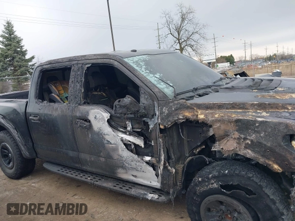 2017 Ford F-150 Raptor with VIN 1FTFW1RG5HFC33542, listed as a IAAI auction lot 41991276 with Not Provided miles and . Bid and sale history available at carsss.com. Image 6.
