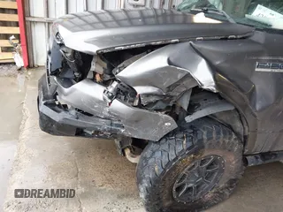 2004 Ford F-150 XLT with VIN 1FTPX14554NA04625, listed as a IAAI auction lot 42077134 with 338,871 mi miles and . Bid and sale history available at DreamBid. Image 6.