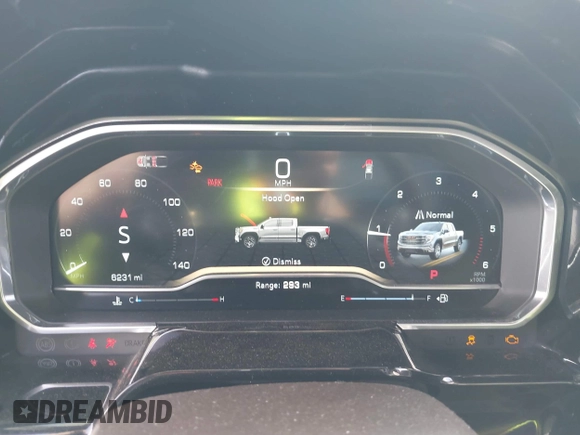 2024 GMC Sierra 1500 with VIN 1GTPHDE88RZ333584, listed as a IAAI auction lot 41581228 with 6,231 mi miles and . Bid and sale history available at DreamBid. Image 7.