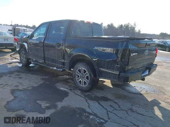 2017 Ford F-150 XL with VIN 1FTEW1EP2HFC48405, listed as a IAAI auction lot 41381331 with 111,580 mi miles and . Bid and sale history available at DreamBid. Image 3.