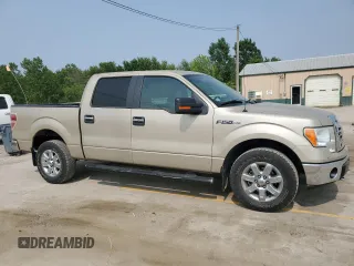 2009 Ford F-150 XL с VIN 1FTRW14889KC61289, выставлен на аукционе Copart как лот 58692615 с пробегом 127 315 миль миль и Списание • Salvage title. История ставок и продаж доступна на DreamBid. Изображение 4.