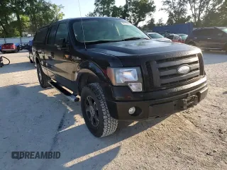 2009 Ford F-150 STX with VIN 1FTRX14W69FA23543, listed as a Copart auction lot 52314695 with 149,268 mi miles and Salvage Title. Bid and sale history available at DreamBid. Image 13.
