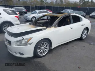 2009 Nissan Maxima SV with VIN 1N4AA51E29C824866, listed as a IAAI auction lot 41826379 with Not Provided miles and . Bid and sale history available at DreamBid. Image 2.