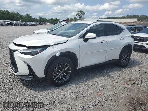2022 Lexus NX with VIN JTJAKCEZ1N5000801, listed as a Copart auction lot 58025764 with 18,907 mi miles and Salvage Title. Bid and sale history available at carsss.com. Image 1.