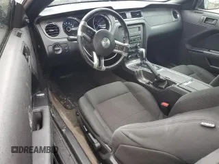 2014 Ford Mustang V6 with VIN 1ZVBP8AM1E5233106, listed as a Copart auction lot 50583645 with 130,482 mi miles and Salvage Title. Bid and sale history available at carsss.com. Image 8.