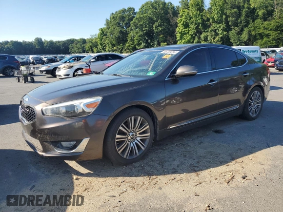 2014 Kia Cadenza Premium with VIN KNALN4D71E5133791, listed as a Copart auction lot 66783294 with 0 mi miles and Salvage Title. Bid and sale history available at carsss.com. Image 1.
