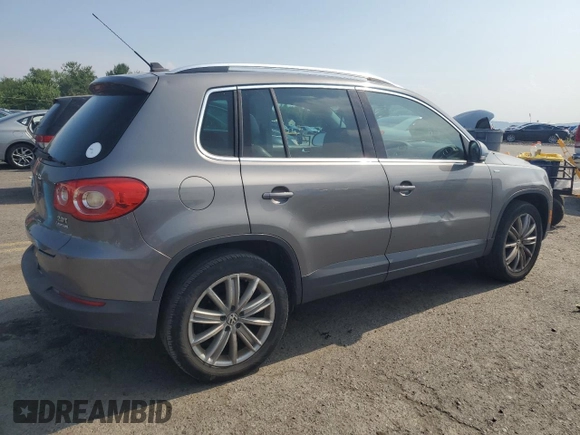 2010 Volkswagen Tiguan S with VIN WVGBV7AX5AW529484, listed as a Copart auction lot 62807895 with 135,197 mi miles and Salvage title. Bid and sale history available at DreamBid. Image 3.