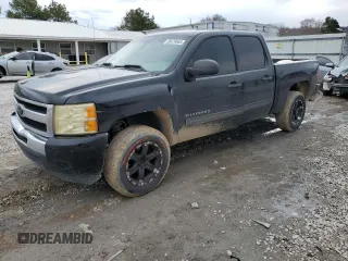2010 Chevrolet Silverado 1500 LT with VIN 3GCRCSEA4AG191401, listed as a Copart auction lot 89079065 with 234,365 mi miles and Salvage Title. Bid and sale history available at DreamBid. Image 1.