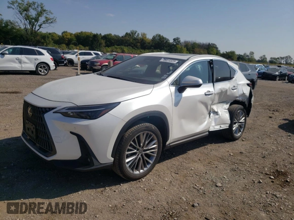 2022 Lexus NX with VIN JTJGGCEZ2N5002083, listed as a Copart auction lot 70023323 with 22,482 mi miles. Bid and sale history available at carsss.com. Image 1.