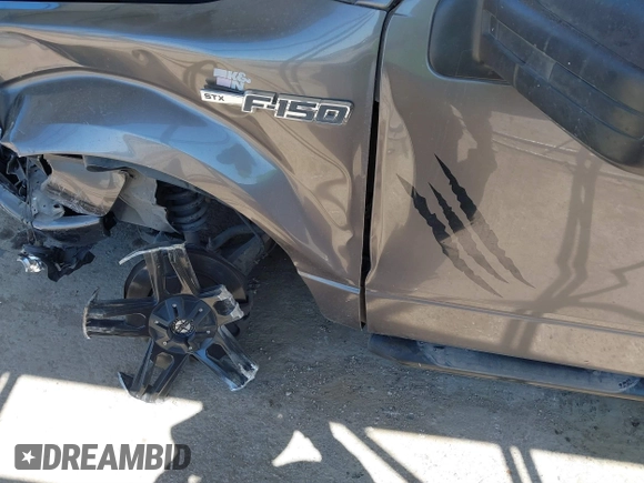 2013 Ford F-150 XL with VIN 1FTFX1CFXDFD81774, listed as a IAAI auction lot 41788362 with 146,352 mi miles. Bid and sale history available at carsss.com. Image 6.