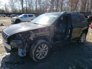 2016 Jeep Cherokee Overland with VIN 1C4PJLJB1GW342657, listed as a Copart auction lot 48873885 with 123,074 mi miles and Salvage title. Bid and sale history available at DreamBid. Image 1.