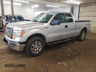 2013 Ford F-150 XL with VIN 1FTFX1EF1DFA81215, listed as a Copart auction lot 63077885 with 300,634 mi miles and Non repairable. Bid and sale history available at DreamBid. Image 1.